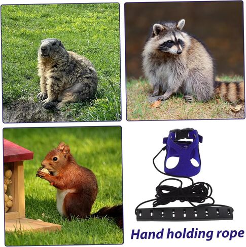 Hemoton Pet Harness مجموعة حبل الجر لـ Ginea Pig Hamster Ferret Rat Squirrel Squirrel مريح المشي in Kuwait