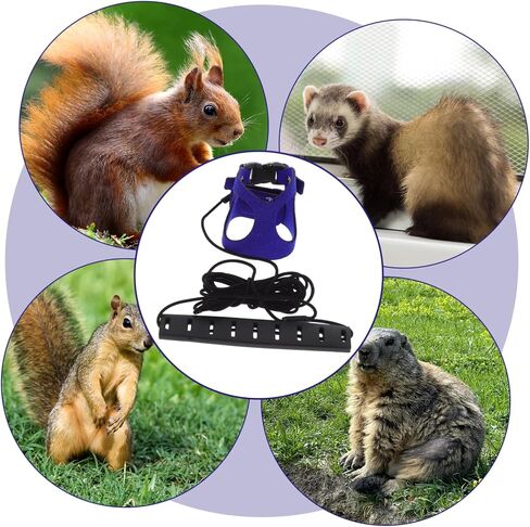 Hemoton Pet Harness مجموعة حبل الجر لـ Ginea Pig Hamster Ferret Rat Squirrel Squirrel مريح المشي in Kuwait