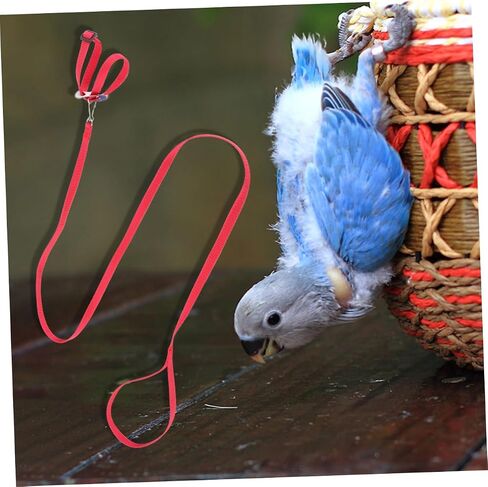 Galpada 1pc Pet Leash for Birds Hamsters Turtles Lizards خفيفة الوزن على شكل حبل على شكل رائع للأنشطة في الهواء الطلق حاضر لمحبي الحيوانات in Kuwait