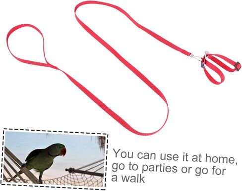 Galpada 1pc Pet Leash for Birds Hamsters Turtles Lizards خفيفة الوزن على شكل حبل على شكل رائع للأنشطة في الهواء الطلق حاضر لمحبي الحيوانات in Kuwait