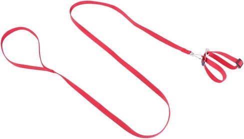 Galpada 1pc Pet Leash for Birds Hamsters Turtles Lizards خفيفة الوزن على شكل حبل على شكل رائع للأنشطة في الهواء الطلق حاضر لمحبي الحيوانات in Kuwait