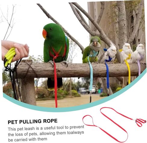 Galpada 1pc Pet Leash for Birds Hamsters Turtles Lizards خفيفة الوزن على شكل حبل على شكل رائع للأنشطة في الهواء الطلق حاضر لمحبي الحيوانات in Kuwait