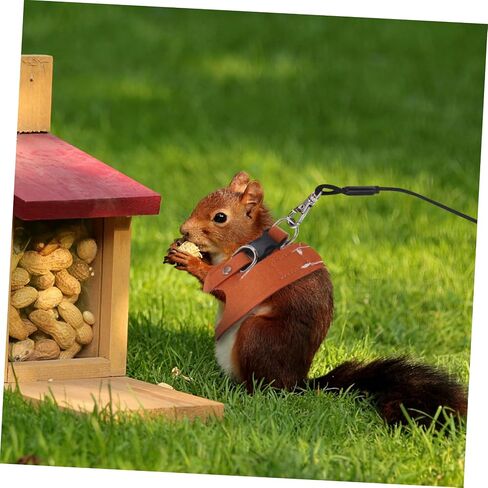 1set Squirrel and Leash Set Vest for Small Animals Lightweight and Easy to Wear for Walking Training and Outdoor Activities in Saudi Arabia