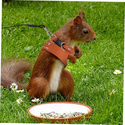 1set Squirrel and Leash Set Vest for Small Animals Lightweight and Easy to Wear for Walking Training and Outdoor Activities in Saudi Arabia