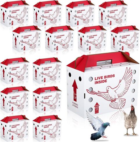 15 Pack Single Live Chicken Shipping Boxes 17.5 x 8.5 x 11.5" Live Bird Shipping Boxes Cardboard Pet Carrier with Handle for Poultry, Pigeons, & Canaries in Saudi Arabia