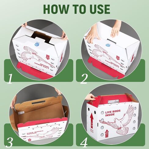 15 Pack Single Live Chicken Shipping Boxes 17.5 x 8.5 x 11.5" Live Bird Shipping Boxes Cardboard Pet Carrier with Handle for Poultry, Pigeons, & Canaries in Saudi Arabia