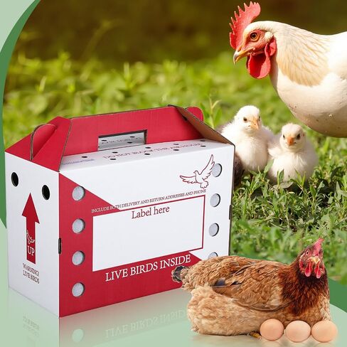 15 Pack Single Live Chicken Shipping Boxes 17.5 x 8.5 x 11.5" Live Bird Shipping Boxes Cardboard Pet Carrier with Handle for Poultry, Pigeons, & Canaries in Saudi Arabia