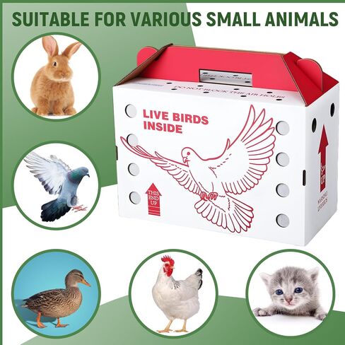 15 Pack Single Live Chicken Shipping Boxes 17.5 x 8.5 x 11.5" Live Bird Shipping Boxes Cardboard Pet Carrier with Handle for Poultry, Pigeons, & Canaries in Saudi Arabia