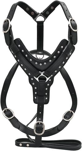 HILASON Black Medium Leather Dog Harness Padded Genuine Matching Leash Medium Black | Dog Harness | Dog Leash | Leather Dog Leash | Dog Walking Harness | Dog Harness with Leash | Dog Leash Harness in Saudi Arabia