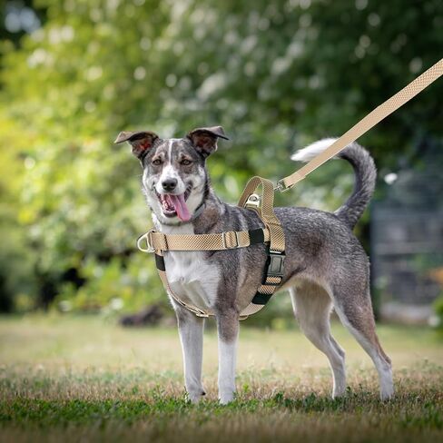 Annchwool Adjustable Dog Harness-Lightweight No Pull Dog Harness with Handle for Small & Medium and Large Dogs-Front Clip Easy for Walking Vest Harness(Brown,M) in Kuwait