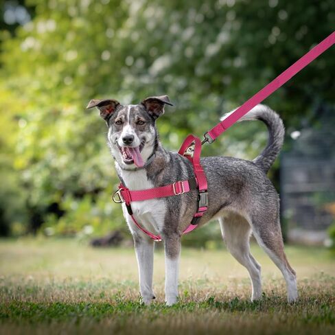 Annchwool Adjustable Dog Harness-Lightweight No Pull Dog Harness with Handle for Small & Medium and Large Dogs-Front Clip Easy for Walking Vest Harness(Brown,M) in Kuwait