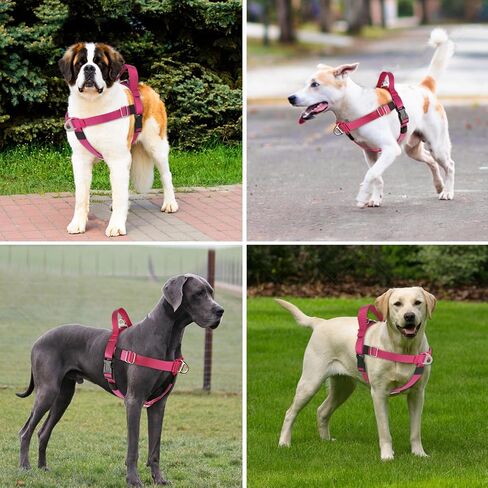 Annchwool Adjustable Dog Harness-Lightweight No Pull Dog Harness with Handle for Small & Medium and Large Dogs-Front Clip Easy for Walking Vest Harness(Brown,M) in Kuwait