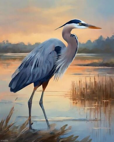 XTXGERL الطلاء بأرقام للبالغين KITS Heron Bird Animal Animal Diy Acrylic Pishing طقم للمبتدئين البالغين على القماش 16 "× 20" in Kuwait