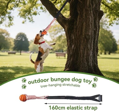 لعبة Bungee Dog التفاعلية: حزام مقوى ، مجموعة 3-في 1 مضغ (كرة حبل ، كرة مطاطية ، حبل مزدوج الحبل)-معلقة الأشجار الداخلية/الخارجية للكلاب الصغيرة ، شد الحبل ، اللعب المنفرد ، 3pcs in Kuwait