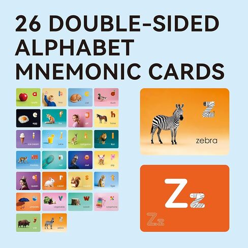 Dotimo Alphabet Picture بطاقات ذاكرية ، 26 بطاقات تعلم أحرف كبيرة وأحرف صغيرة للأطفال الإدراك ، ABC Montessori أداة التعلم المبكر للأطفال الصغار ، الفصول الدراسية والنشاط المنزلي in Kuwait