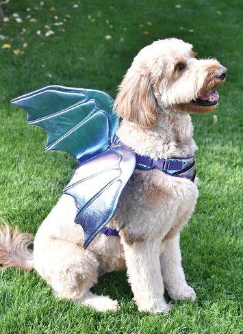 Simplicity Lightly Padded Dog Harness with Wings Sewing Pattern Packet by Carla Reiss, Design Code S9875, Sizes S-M-L, Multicolor in Saudi Arabia