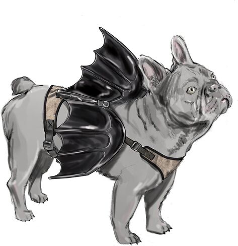Simplicity Lightly Padded Dog Harness with Wings Sewing Pattern Packet by Carla Reiss, Design Code S9875, Sizes S-M-L, Multicolor in Saudi Arabia