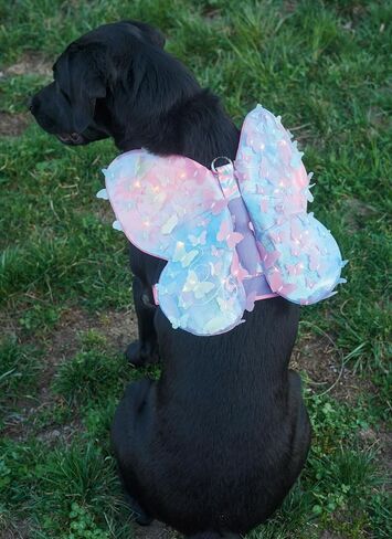 Simplicity Lightly Padded Dog Harness with Wings Sewing Pattern Packet by Carla Reiss, Design Code S9875, Sizes S-M-L, Multicolor in Saudi Arabia