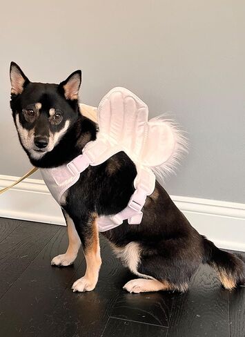 Simplicity Lightly Padded Dog Harness with Wings Sewing Pattern Packet by Carla Reiss, Design Code S9875, Sizes S-M-L, Multicolor in Saudi Arabia