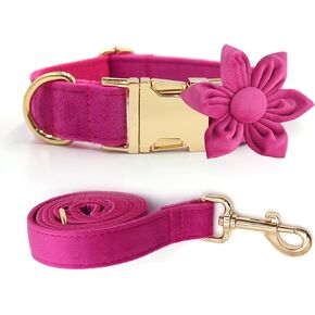 Large Big Dog Harness Set,Lightweight Dog Wedding Harness and Leash with Bow,Soft Unique 4-5 FT Leash for Female Dogs L in Saudi Arabia
