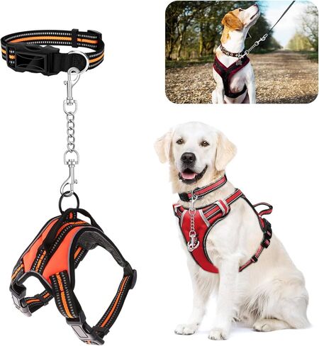 مقطع السلامة من طوق الكلب المعدني 2 حزمة من الفولاذ المقاوم للصدأ احتياطيًا ثقيلًا للياقة الشق in Kuwait