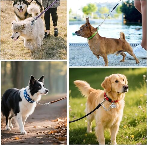 مقطع السلامة من طوق الكلب المعدني 2 حزمة من الفولاذ المقاوم للصدأ احتياطيًا ثقيلًا للياقة الشق in Kuwait