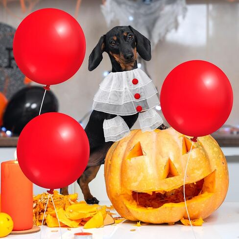 Dog Halloween Clown Costume Set for Medium Large Dog Cosplay Clothes Outfit Accessories Include 1 Collar with Red Pom Pom Balls, 2 Leggings, 3 Red Balloons for Puppy Cat Pet Party Supplies in Saudi Arabia