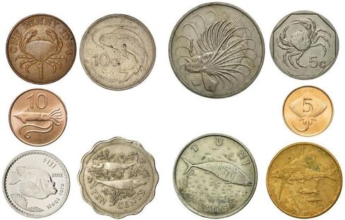 Animal Fantasy Coins Collection - 100 Different Novelty Tokens - European, Asian, American, and African Wildlife - Birds, Mammals, Marine Animals in Kuwait