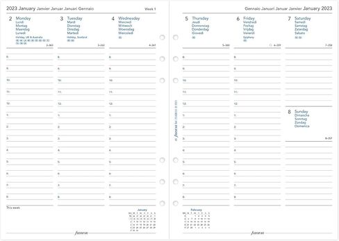 Filofax Domino Soft Organizer ، حجم A5 ، الوردي الشاحب-السلس ، نظرة الجلدية ، تأثير الحبوب ، اللمس ، ست حلقات ، مذكرات تقويم لمدة أسبوع إلى آخر ، متعدد اللغات ، 2025 (C022604-25) in Saudi Arabia