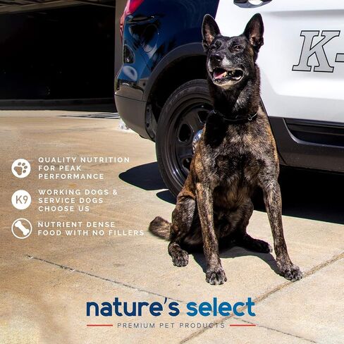 Nature's Select Classic Offer - الدجاج والأرز جميع المراحل جاف للكلاب (30 رطلاً) in Saudi Arabia