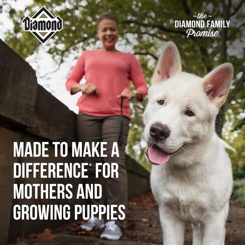 Diamond Premium Puppy عبارة عن بروتين غذائي للكلاب الجاف الكامل والمتوازن ، والبروبيوتيك ، والدهون الصحية التي توفر قيمة غذائية عالية في الجراء المتنامية 8 رطل (118_8_dpp) in Saudi Arabia