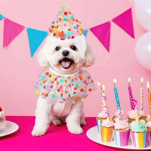 Cat Birthday Hat Outfit Bandana Scarf Cat Princess Costumes Doggy Cats Birthday-Mesh Bib Birthday Party Decorations Set for Small Medium Cats & Doggy in Saudi Arabia