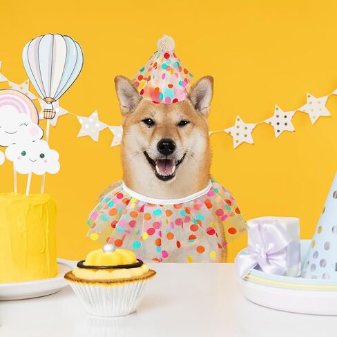 Cat Birthday Hat Outfit Bandana Scarf Cat Princess Costumes Doggy Cats Birthday-Mesh Bib Birthday Party Decorations Set for Small Medium Cats & Doggy in Saudi Arabia