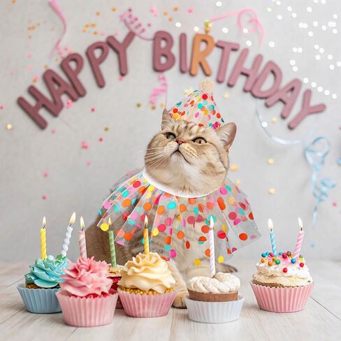 Cat Birthday Hat Outfit Bandana Scarf Cat Princess Costumes Doggy Cats Birthday-Mesh Bib Birthday Party Decorations Set for Small Medium Cats & Doggy in Saudi Arabia
