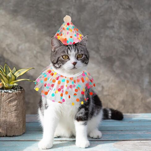Cat Birthday Hat Outfit Bandana Scarf Cat Princess Costumes Doggy Cats Birthday-Mesh Bib Birthday Party Decorations Set for Small Medium Cats & Doggy in Saudi Arabia