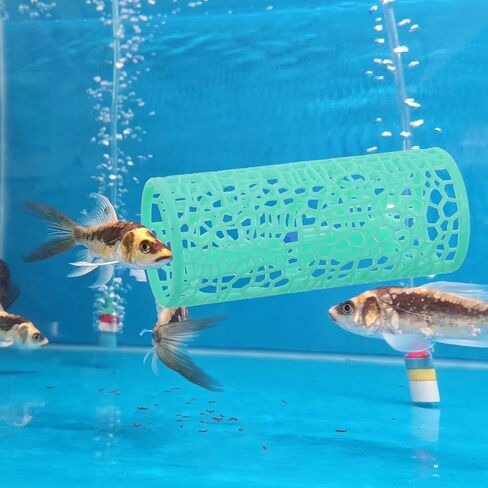 Betta Fish Ammock Toys Accessories Tank Exclists Betta Tunnel مع أكواب شفط ، أرجوحة خزان السمك Bettas البلاستيكية للأسماك الصغيرة ، ألعاب الروبيان إكسسوارات ديكور السمك (الأخضر) in Kuwait