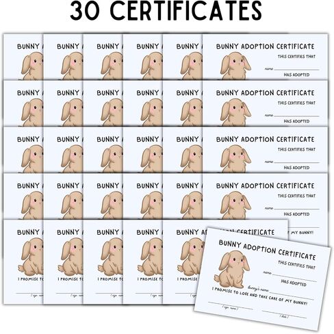 Bunny Rabbit Adoption Certificate | 30pk 4x6" Animal Pet Easter Crochet Pattern Lovey Garden Paper Award Take Care of Promise Children in Saudi Arabia