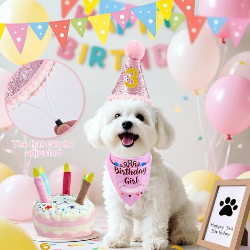 Dog Birthday Toy Set & Decorations for Dogs, Includes Squeaky Cake Toy, Plush Bones, Birthday Hats, Bandana, Paw Print Kit & Photo Frame. Dog Birthday Gift Supplies, Blue in Kuwait