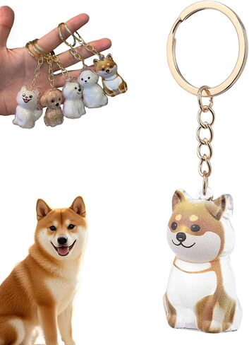 Dog Hair Collector Keychain, Pet Memorial Keepsake, Pet Hair Storage Fur Locket Box, Personalized Transparent Portable Dog Hair Pendant Memorial Birthday Gift for Pet Lovers in Saudi Arabia