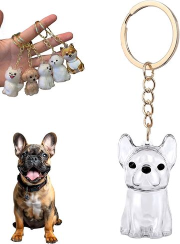Dog Hair Collector Keychain, Pet Memorial Keepsake, Pet Hair Storage Fur Locket Box, Personalized Transparent Portable Dog Hair Pendant Memorial Birthday Gift for Pet Lovers in Saudi Arabia