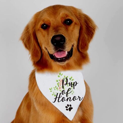 YROVWENQ Family Kitchen Promoted to Big Sister Red Plaid Dog Bandana, Gender Reveal Photo Prop Triangle Pet Scarf Scarves Decorations Accessories, Pet Scarves Dog Lovers Owner Gift in Kuwait