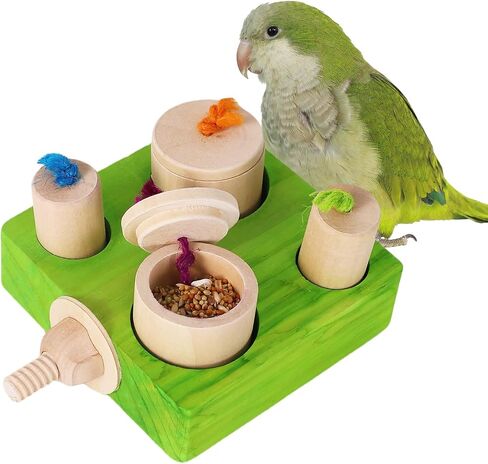 Birdie Puzzle Feeder - لعبة علف تفاعلية للببغاوات والببغاوات والكوكاتيلز والخورات | لعبة الإثراء والتحفيز العقلي لمنع الملل (الأخضر) in Kuwait