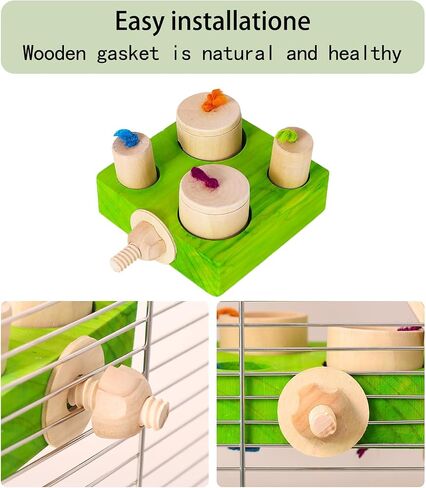 Birdie Puzzle Feeder - لعبة علف تفاعلية للببغاوات والببغاوات والكوكاتيلز والخورات | لعبة الإثراء والتحفيز العقلي لمنع الملل (الأخضر) in Kuwait