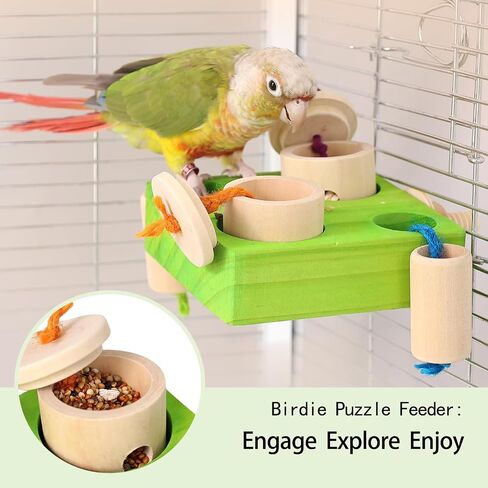 Birdie Puzzle Feeder - لعبة علف تفاعلية للببغاوات والببغاوات والكوكاتيلز والخورات | لعبة الإثراء والتحفيز العقلي لمنع الملل (الأخضر) in Kuwait
