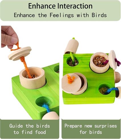 Birdie Puzzle Feeder - لعبة علف تفاعلية للببغاوات والببغاوات والكوكاتيلز والخورات | لعبة الإثراء والتحفيز العقلي لمنع الملل (الأخضر) in Kuwait