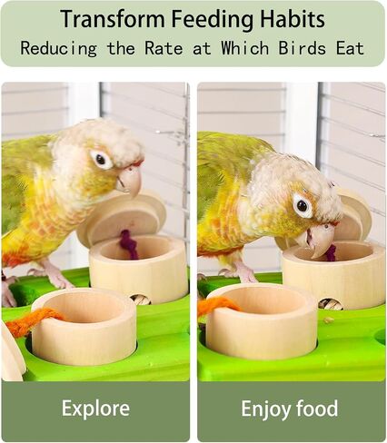 Birdie Puzzle Feeder - لعبة علف تفاعلية للببغاوات والببغاوات والكوكاتيلز والخورات | لعبة الإثراء والتحفيز العقلي لمنع الملل (الأخضر) in Kuwait