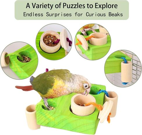 Birdie Puzzle Feeder - لعبة علف تفاعلية للببغاوات والببغاوات والكوكاتيلز والخورات | لعبة الإثراء والتحفيز العقلي لمنع الملل (الأخضر) in Kuwait