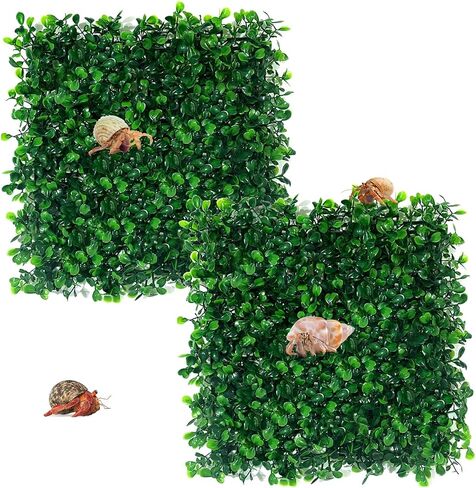 2 قطع 10 × 10 بوصة من ألعاب تسلق السلطعون ، وسرطان البحر تسلق العشب الزواحف الزواحف زواحف الزواحف ، نباتات أسماك بلاستيكية مربعة للمياه المالحة العذبة. in Saudi Arabia
