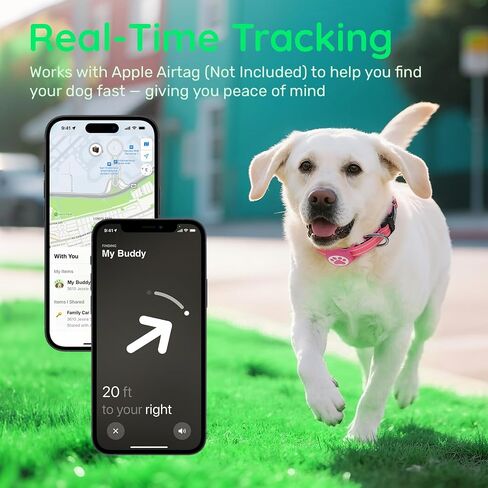 Airtag Dog Collar, Reflective Ultra-Durable Nylon Padded with QR Code Buckle & IP68 Waterproof Air Tag Holder Compatible for Apple AirTag, Comfortable for Small Medium Large Dogs(Hot Pink,S) in Saudi Arabia
