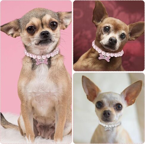 2pcs dog cat pearl jolar necklace with inhinestone bone ، jewely jews jews for girl cat pet pet dogs accessories bling (s ، pink ، white) in Kuwait